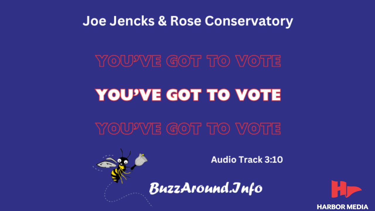 Thumbnail image for You've Got to Vote!