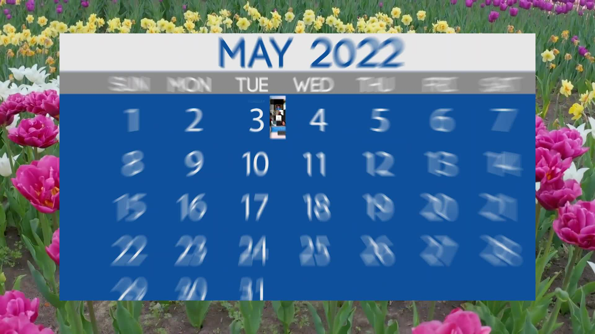 Thumbnail image for Government Meetings PSA: May 2022