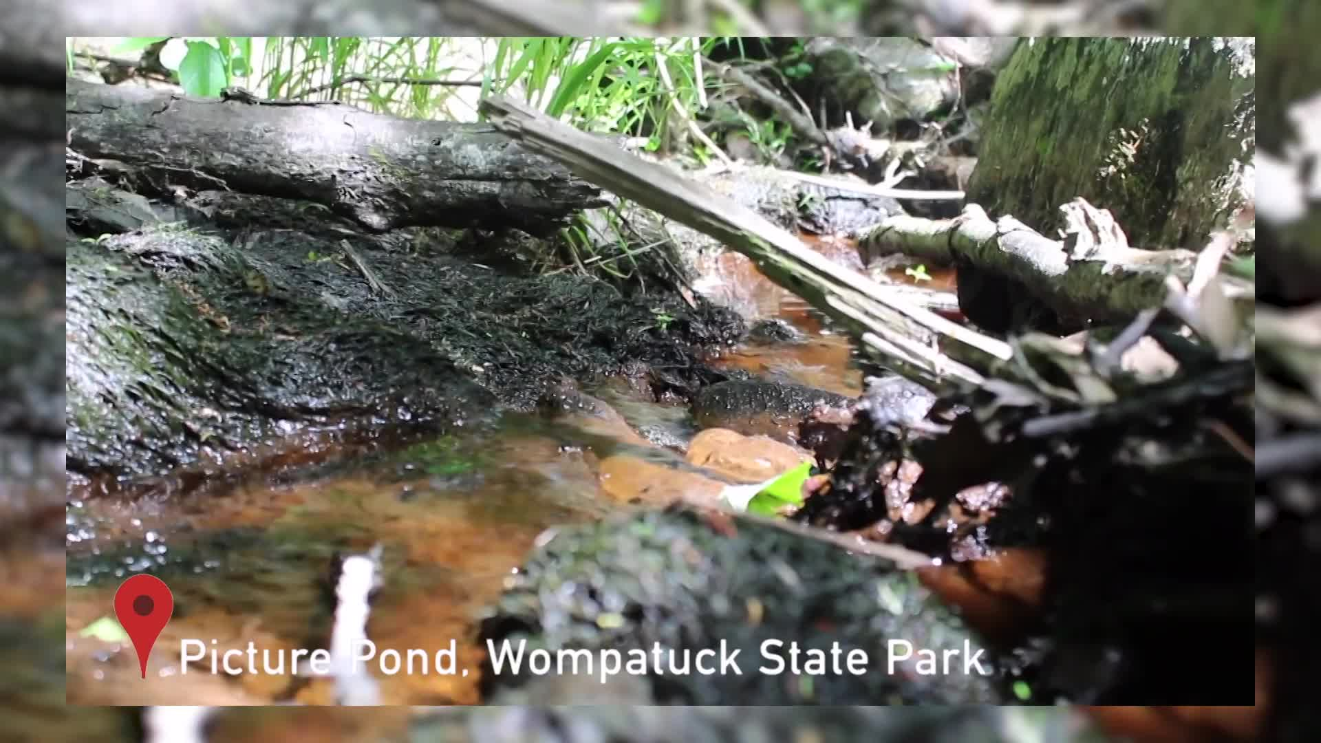 Thumbnail image for Sophia Varekamp & Sharon Fitzpatrick-NSRWA WaterSMART Video Contest